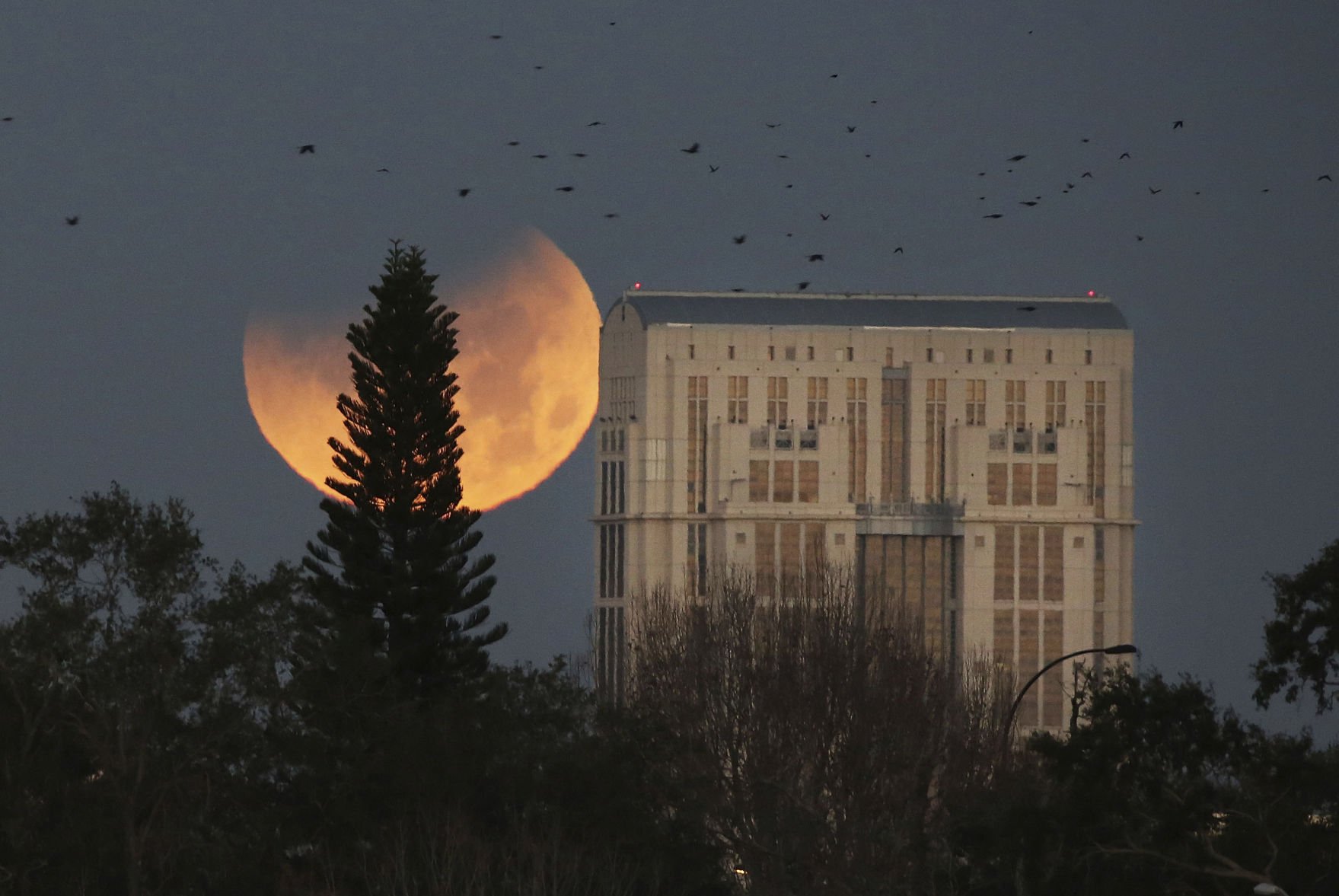 Lunar eclipse